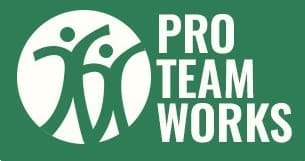 Pro Team Works - Home Services Chicago