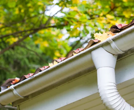 gutter full of leaves