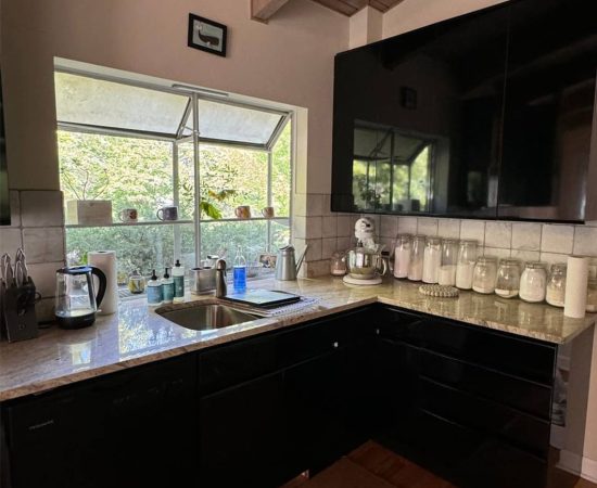 housecleaning2